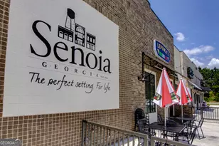 390 Redhaven Dr, Senoia, GA 30276 - Photo 43