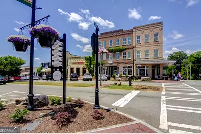 215 Redhaven Drive, Senoia, GA 30276 - Photo 43