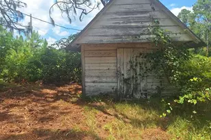 880 Sellers Rd, Baxley, GA 31513 - Photo 5