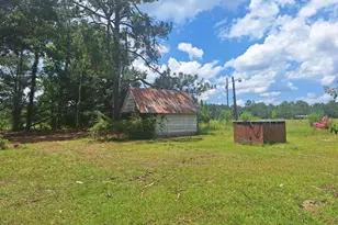 880 Sellers Rd, Baxley, GA 31513 - Photo 31