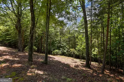 0 Laceola South Road #LOT 120, Cleveland, GA 30528 - Photo 3