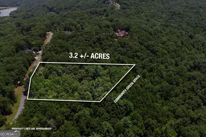 0 Laceola South Road #LOT 120, Cleveland, GA 30528 - Photo 1