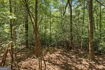 0 Laceola South Road #LOT 120, Cleveland, GA 30528 - Photo 5