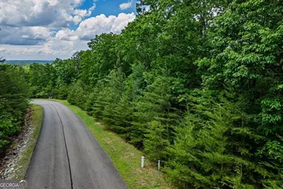 301 Ridgeside Court, Jasper, GA 30143 - Photo 15