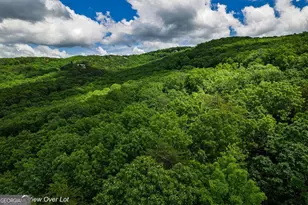 301 Ridgeside Court, Jasper, GA 30143 - Photo 1