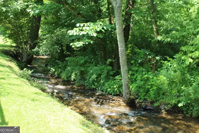 973 East Vineyard Road, Hayesville, NC 28904 - Photo 7