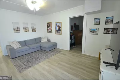 101 East Street, Rhine, GA 31077 - Photo 25