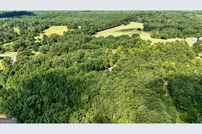 2001 Threadgill Road, Greenville, GA 30222 - Photo 7