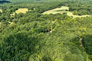 2001 Threadgill Rd, Greenville, GA 30222 - Photo 7