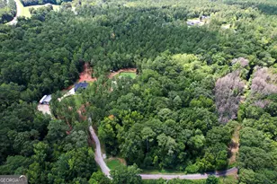 263 Bill Estes Rd, Senoia, GA 30276 - Photo 51