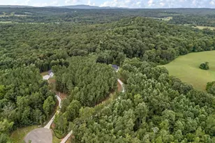 110 Jerusalem Farms Trail, Jasper, GA 30143 - Photo 41