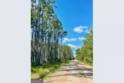 0 Incachee Road, Waverly, GA 31565 - Photo 3