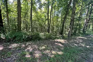 0 Old Draketown Trail, Temple, GA 30179 - Photo 1