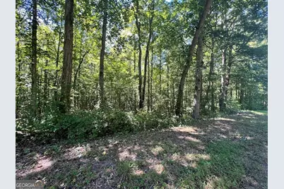 0 Old Draketown Trail, Temple, GA 30179 - Photo 5