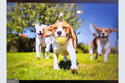 640 Parnassus Road, Locust Grove, GA 30248 - Photo 21