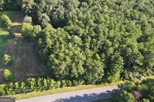 Lot17B Aspen Way, Adairsville, GA 30103 - Photo 15