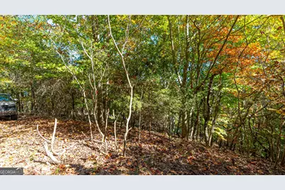 333 Song Bird Drive, Cleveland, GA 30528 - Photo 21