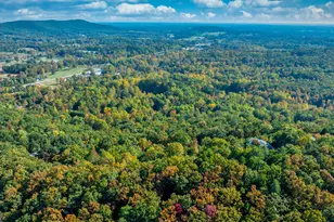 333 Song Bird Dr, Cleveland, GA 30528 - Photo 1