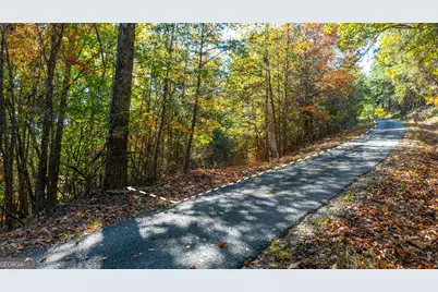 333 Song Bird Drive, Cleveland, GA 30528 - Photo 13