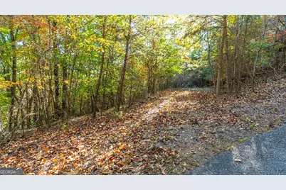 333 Song Bird Drive, Cleveland, GA 30528 - Photo 15