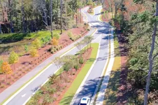 495 Great Salt Ln, Hoschton, GA 30548 - Photo 7