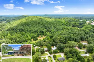 438 Dixon Dr, Cleveland, GA 30528 - Photo 51