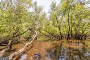 1656 To Jones Rd, Reidsville, GA 30453 - Photo 9