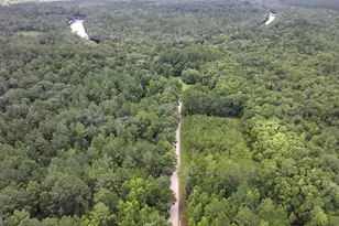 3047 John Burch Rd, Folkston, GA 31537 - Photo 9