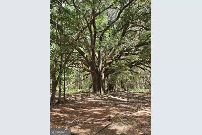 3047 John Burch Road, Folkston, GA 31537 - Photo 13