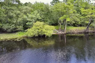 3047 John Burch Rd, Folkston, GA 31537 - Photo 5