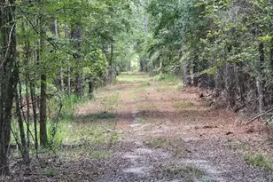 3047 John Burch Rd, Folkston, GA 31537 - Photo 15