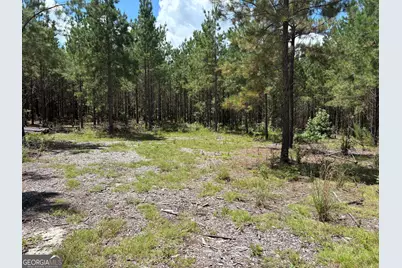 0 Black Creek Road, Gordon, GA 31031 - Photo 5