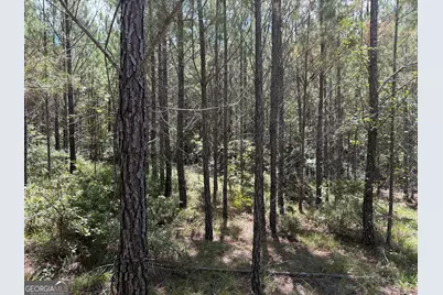 0 Black Creek Road, Gordon, GA 31031 - Photo 3