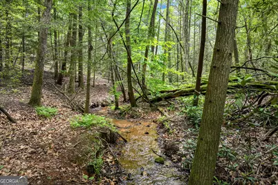 2001 Chimney Mountain Flats Trail, Clarkesville, GA 30523 - Photo 21