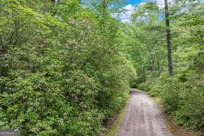 2001 Chimney Mountain Flats Trail, Clarkesville, GA 30523 - Photo 11