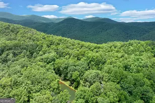 2001 Chimney Mountain Flts Trl, Clarkesville, GA 30523 - Photo 27