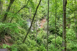 2001 Chimney Mountain Flts Trl, Clarkesville, GA 30523 - Photo 15