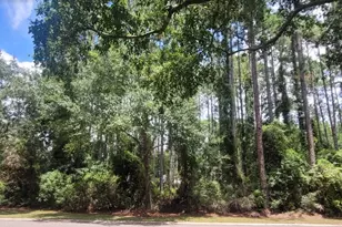 100 Amberjack Loop, Saint Marys, GA 31558 - Photo 15