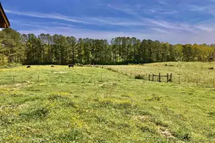 243 Ralls Rd, Hogansville, GA 30230 - Photo 35