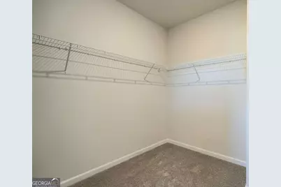 10413 Trellis Lane #(LOT 33), Hampton, GA 30228 - Photo 35