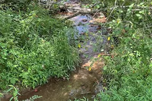 55 Chatuge Hills Dr, Hayesville, NC 28904 - Photo 39