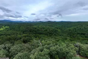 Lot 41 Wolf Creek Estates, Mineral Bluff, GA 30559 - Photo 41