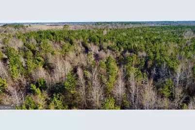 0 Herrington Road, Hazlehurst, GA 31539 - Photo 15