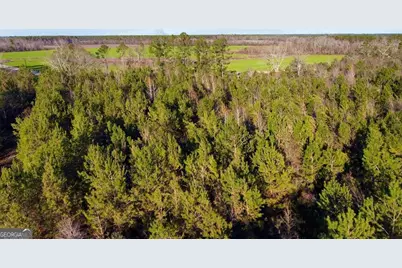 0 Herrington Road, Hazlehurst, GA 31539 - Photo 7