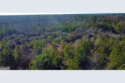 0 Herrington Road, Hazlehurst, GA 31539 - Photo 11