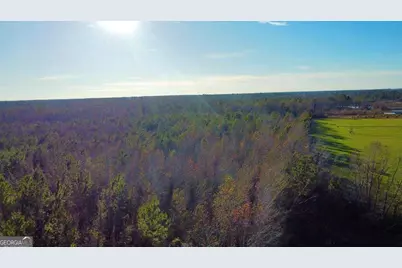 0 Herrington Road, Hazlehurst, GA 31539 - Photo 23