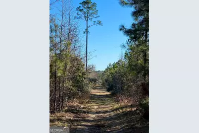 0 Herrington Road, Hazlehurst, GA 31539 - Photo 19