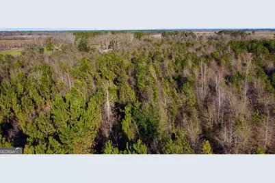 0 Herrington Road, Hazlehurst, GA 31539 - Photo 13