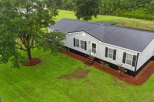 1234 Hg Miles Dr NE, Townsend, GA 31331 - Photo 3