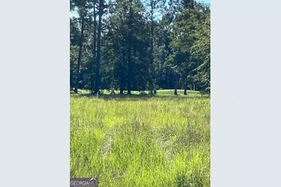 0 Deer Creek Road, Swainsboro, GA 30401 - Photo 5